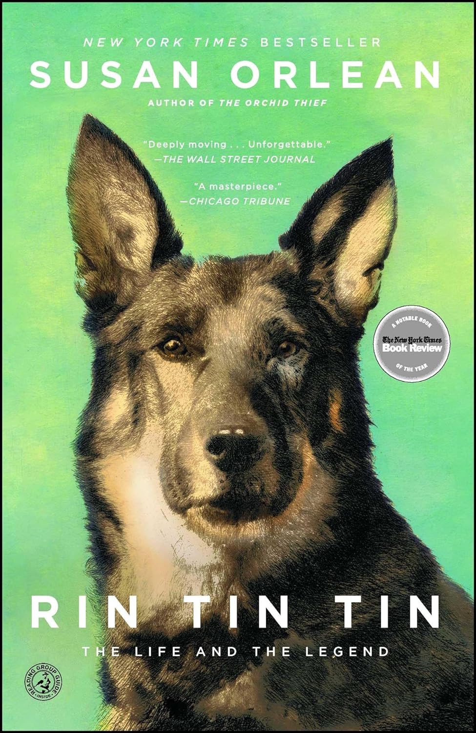 Читать книгу тины. Пёс Рин Тин Тин. Немецкая овчарка Рин Тин Тин. Тин Тин собака порода.
