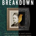 Cover of American Breakdown by Jennifer Lunden